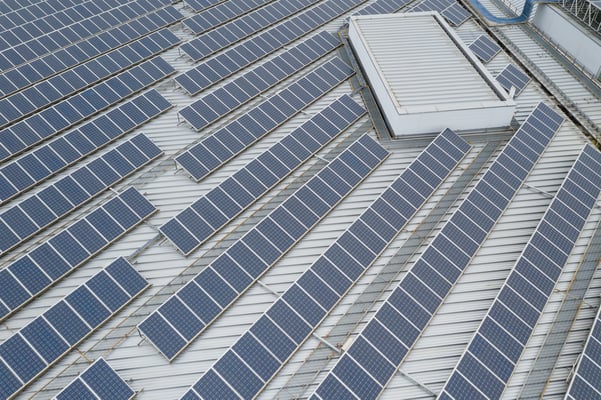 large grouping of solar panels